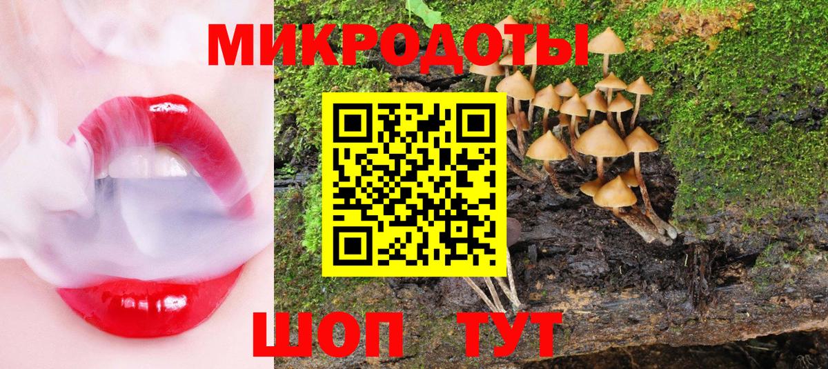 Галлюциногенные грибы Cubensis  Вход с VPN  Североморск  Псилоцибиновые грибы Psilocybe 